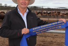 Palgrove Pastoral shines in Paddock to Palate