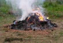 Prepare for fire season now