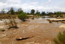 Showers forecast to continue Saturday