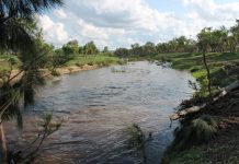 More rain forecast early in week