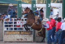 Cleary Street residents unhappy with rodeo ‘patrons’