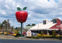 Vincenzo’s to reopen, Big Apple here to stay