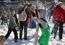 Local groups to receive $230k