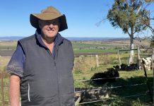 Is dairy farming dying?