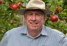 SDRC ’is not shrinking’, says Cr Tancred