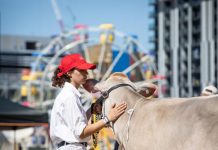 EKKA cancelled