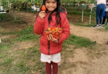 New festival celebrates region’s ’berry’ best