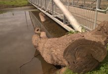 Locals complain of clogged waterways