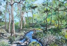 Space and a beautiful view