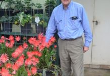 Get your gardens ready for spring show