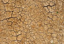 Lifeline Darling Downs providing grants for community drought support