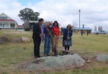 Family of ducks unveiled