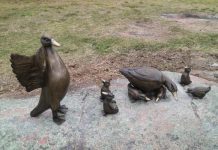 In a flap over unveiling