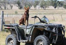 This week on the farm