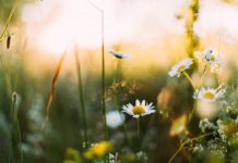 Three events to attend this Spring