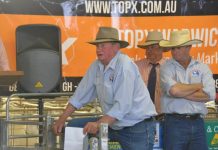 Australian Whites top at $4400