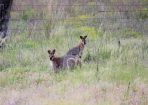 judy_255014_01.JPG