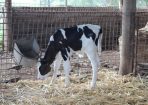 judy_256261_06.JPG