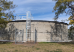 Allorares_262311_01.png