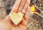 bushfire_261307_01.jpg