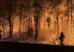 bushfire_261307_03.JPG