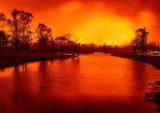 bushfire_261307_04.jpg