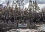 bushfire_261307_08.jpg