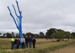 sltree_258530_01.JPG