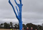 sltree_258530_02.JPG
