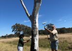 sltree_258530_03.jpg