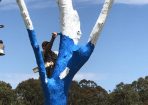 sltree_258530_04.jpg