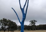 sltree_258537_01.jpg