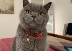 emilypets_265604_02.jpg