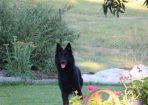 judy_272268_01.JPG