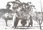 1892_275675_02.PNG