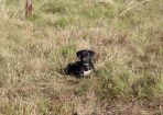 judy_275589_06.JPG