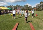 wesscolour_275599_01.JPG