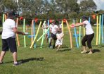 wesscolour_275599_02.JPG
