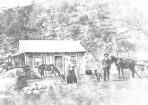 1897_278407_02.PNG