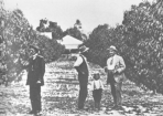1897_278407_03.PNG
