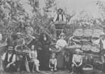 1897_278407_04.png