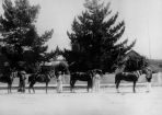1900_279997_03.PNG