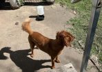 hamish_278740_03.jpg