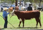 stanshow22_227497_06.JPG