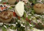 chef_283005_02.jpg