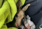 judy_284353_01.JPG