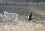 judy_285293_05.JPG
