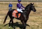 sthorse_287696_01.jpg