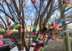 treejumper_290727_31.JPG