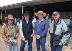 BullSale_298633_01.JPG